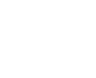 Alternate Text