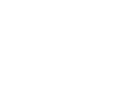 Alternate Text